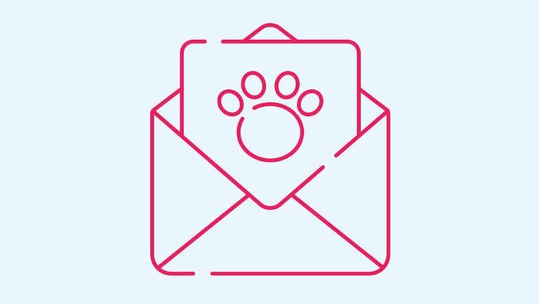 Illustrierte Newsletter-Grafik in Magenta und Blau.