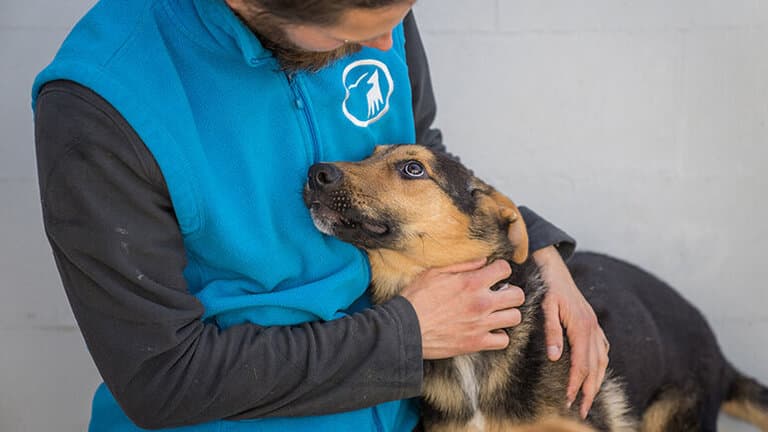 Hund aus dem Tierschutzzentrum Odessa schmiegt sich dankbar an einen Tierpfleger.