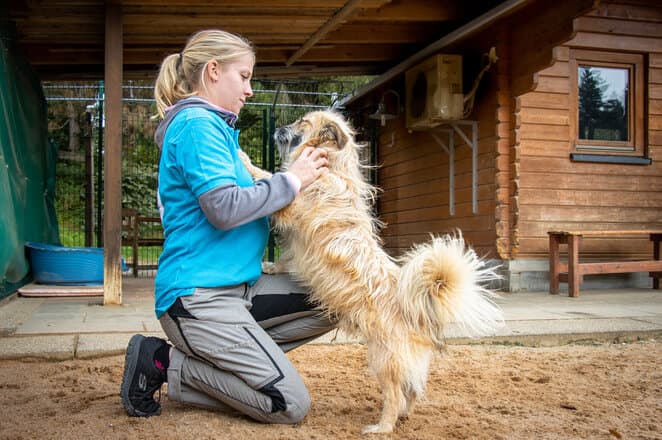 Tierpflegerin streichelt einen Hund auf dem Sonnenhof.
