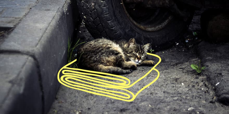 Schlafende Katze liegt unter einer Decke neben einem Autoreifen.